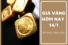 Giá vàng hôm nay 14/1: Vàng SJC tăng trở lại mốc 77 triệu đồng/lượng trong tuần qua