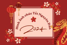 Top 10+ hình ảnh chúc Tết Nguyên đán 2024 hài hước, vui nhộn