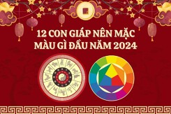 12 con giáp nên mặc màu gì đầu năm 2024 để rước tài lộc, may mắn