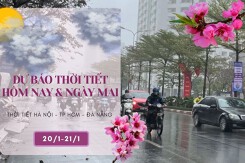 Dự báo thời tiết hôm nay và ngày mai 21/1: Hà Nội mưa rào rải rác, Đà Nẵng lạnh về đêm, TP HCM không mưa