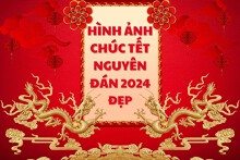 Top 20 hình ảnh chúc Tết Nguyên đán 2024 đẹp, ấn tượng