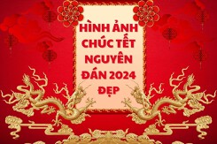 Top 20 hình ảnh chúc Tết Nguyên đán 2024 đẹp, ấn tượng
