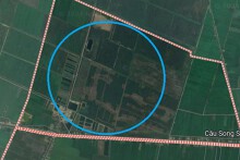Đất có quy hoạch ở xã Tân Lập, huyện Tân Thạnh, tỉnh Long An