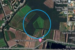 Đất có quy hoạch ở thị trấn Thạnh Hóa, huyện Thạnh Hóa, tỉnh Long An