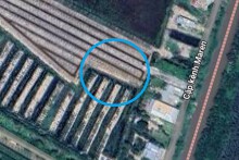 Đất có quy hoạch ở xã Tân Hiệp, huyện Thạnh Hóa, tỉnh Long An