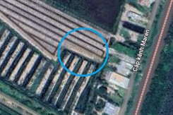 Đất có quy hoạch ở xã Tân Hiệp, huyện Thạnh Hóa, tỉnh Long An