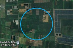 Đất có quy hoạch ở xã Thạnh An, huyện Thạnh Hóa, tỉnh Long An