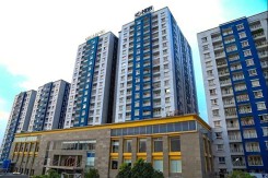 Năm Bảy Bảy thu về 150 tỷ đồng từ thương vụ hợp tác với CII