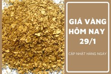 Giá vàng hôm nay 29/1: Vàng SJC giảm 100.000 đồng/lượng sáng đầu tuần