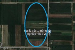 Đất có quy hoạch ở xã Thuỷ Đông, huyện Thạnh Hóa, tỉnh Long An