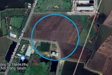 Đất có quy hoạch ở xã Thái Trị, huyện Vĩnh Hưng, tỉnh Long An