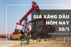 Giá xăng dầu hôm nay 30/1: Biến động không đồng nhất