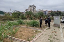 Giao dịch thứ cấp đất nền, căn hộ có dấu hiệu sôi động