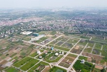 Cá nhân thẩm định giá đất không được hoạt động độc lập