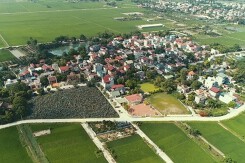 Thường Tín, Hà Nội đấu giá 24 thửa đất ở, khởi điểm 3,8 triệu đồng/m2