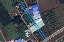 Đường sẽ mở ở phường Long Phước, thị xã Phước Long, tỉnh Bình Phước