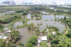 'Quốc Cường Gia Lai đồng ý trả hơn 2.800 tỷ đồng cho bà Trương Mỹ Lan'