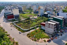 80% lô đất trúng đấu giá tại Hà Đông chưa được nộp tiền
