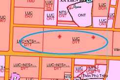Đất có quy hoạch ở xã Liên Hồng, TP Hải Dương, tỉnh Hải Dương