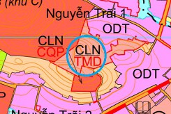 Đất có quy hoạch ở phường Sao Đỏ, TP Chí Linh, tỉnh Hải Dương