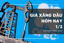 Giá xăng dầu hôm nay 1/2: Biến động không đồng nhất