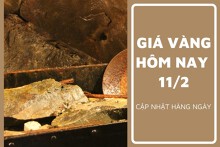 Giá vàng hôm nay 11/2: Vàng SJC giảm đến 500.000 đồng/lượng trong tuần qua