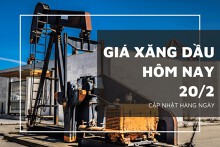 Giá xăng dầu hôm nay 20/2: Điều chỉnh tương đối nhẹ