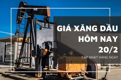 Giá xăng dầu hôm nay 20/2: Điều chỉnh tương đối nhẹ