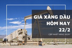 Giá xăng dầu hôm nay 22/2: Điều chỉnh trái chiều
