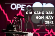 Giá xăng dầu hôm nay 29/2: Tiếp tục tăng giảm không đồng nhất