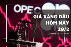 Giá xăng dầu hôm nay 29/2: Tiếp tục tăng giảm không đồng nhất