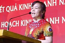 Chiêu dìm giá đất ở Đông Anh của Chủ tịch Vimedimex