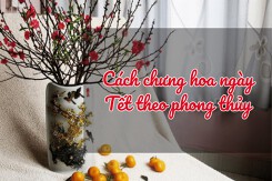 Cách chưng hoa ngày Tết theo phong thủy để rước tài lộc, đón may mắn