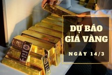 Dự báo giá vàng 14/3: Tiếp tục giảm mạnh?