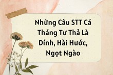 Những câu stt Cá tháng Tư thả là dính, hài hước, ngọt ngào