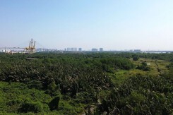 [Photostory] Hiện trạng siêu dự án Mũi Đèn Đỏ hơn 6 tỷ USD