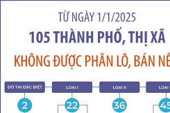 [Infographic] 105 thành phố, thị xã sẽ không được phân lô, bán nền từ ngày 1/1/2025