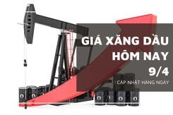 Giá xăng dầu hôm nay 9/4: Tăng khi đàm phán ngừng bắn ở Gaza bế tắc