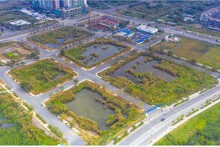 TP Ninh Bình đấu giá 28 lô đất ở gần Quốc lộ 1A, khởi điểm từ 11,3 triệu đồng/m2