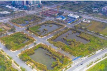 TP Hưng Yên đấu giá 22 thửa đất ở, khởi điểm từ 16,3 triệu đồng/m2