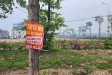 Cẩn trọng bẫy 'liều ăn nhiều' với đất nền chưa xong pháp lý