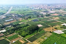 Hưng Yên đấu giá 41 thửa đất tại huyện Khoái Châu, khởi điểm từ 33 triệu đồng/m2