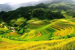 Công bố Quy hoạch vùng trung du và miền núi phía bắc