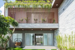 10 cây trồng phong thủy trước nhà giúp vượng khí, hút tài lộc