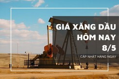 Giá xăng dầu ngày 8/5 giảm nhẹ khi Mỹ chuyển sang bổ sung dự trữ chiến lược