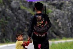 Top 20 những câu nói hay về ngày của cha - Một vài hình ảnh đẹp về ngày của cha