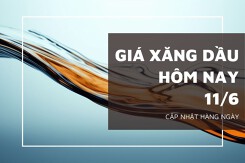 Giá xăng dầu ngày 11/6 điều chỉnh trái chiều trước tiềm năng thu mua dự trữ của Mỹ
