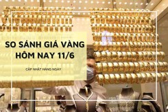 So sánh giá vàng 11/6: Vàng SJC không thay đổi, vàng 24K đảo chiều tăng