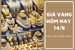 Giá vàng hôm nay 14/6 tiếp tục đứng yên, thấp nhất 74,98 triệu đồng/lượng
