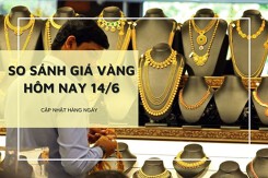 So sánh giá vàng 14/6: Vàng SJC đi ngang, vàng 24K giảm trở lại